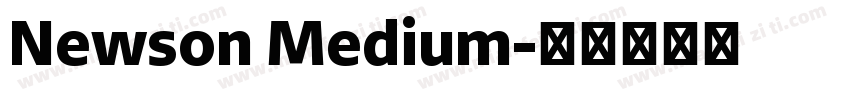 Newson Medium字体转换